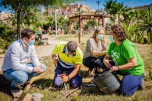 Ayuntamiento de Roquetas y Ecologistas en Acción plantan 5 tarays por el Día del Medioambiente