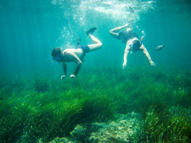 Las Profundidades Marinas de Cabo de Gata: Un Paraíso Submarino en la Costa de Almería