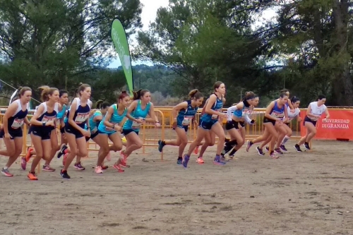 La UAL correrá la prueba de campo a través de cara a los Campeonatos de Andalucía