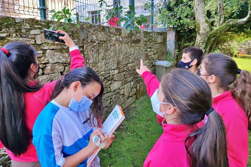 Inventariada la biodiversidad de los centros educativos españoles con el Proyecto BUCES