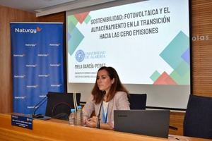 Almería: ciudad privilegiada para la transición hacia las energías limpias