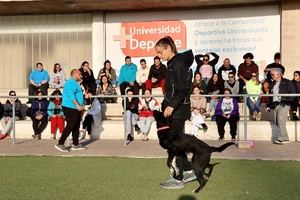 Curso inclusivo sobre perros y salud mental en la UAL