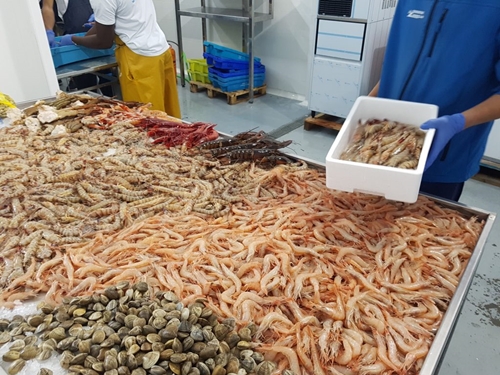 Récord de exportaciones andaluzas de pescados y mariscos