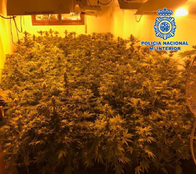 El dormitorio en el salón y en el resto de la casa... marihuana