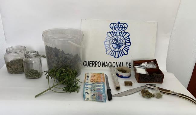 La Policía Nacional incauta 359 plantas de marihuana en la calle Alta de la Fuentecica