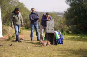 El lince Ramón, Pacheco