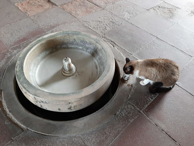 Más de una semana sin agua en la Alcazaba