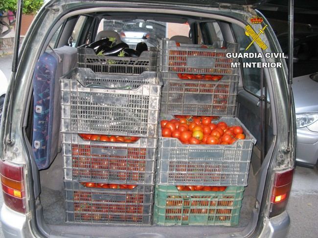 Sorprendidos con dos furgonetas llenas de tomates y sandías robadas