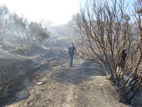 Denunciada una persona por el incendio de Sierra Cabrera