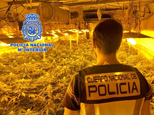 Dos matrimonios y un hijo son detenidos al desmantelar 2 plantaciones de marihuana en Almería