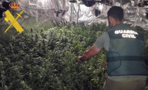 Okupa una nave y pone un plantación de marihuana