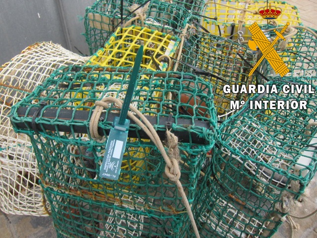 Pescaron 132 kilos de pulpo inmaduro y en veda en la reserva de Cabo de Gata