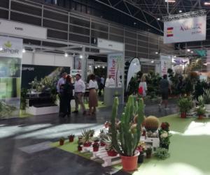 Almería lidera las ventas andaluzas en floricultura