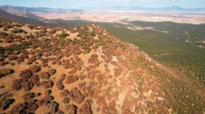 "Insólito" secado de 400 hectáreas de Sierra María Los Vélez