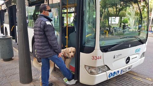 Diez perros guía de Almería reclaman su derecho de acceso al transporte público