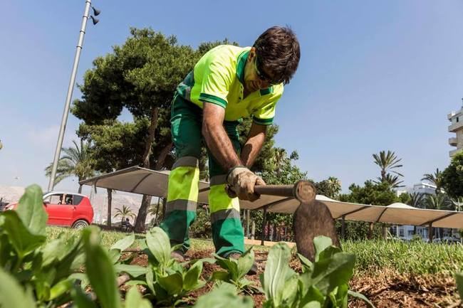 El Ayuntamiento aprueba la continuidad de Cespa en el mantenimiento de espacios verdes por 2,5 millones