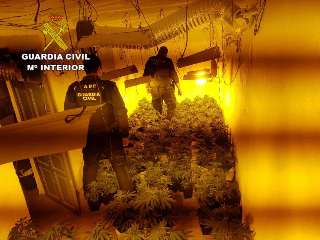 Intervenidas 500 plantas de marihuana en viviendas de Bayárcal y Paterna