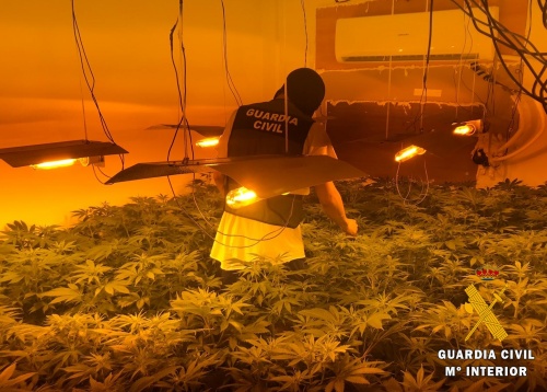 La Guardia Civil desmantela un bloque de viviendas con 3.000 plantas de marihuana