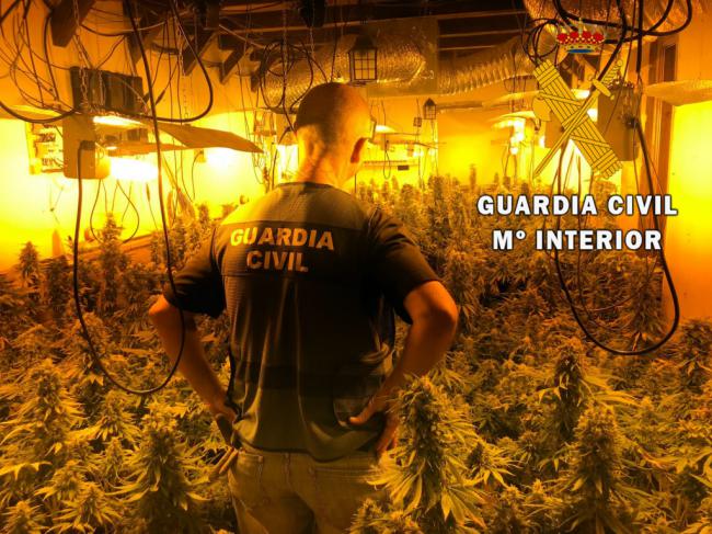 390 plantas de marihuana a 50 metros de un parque infantil