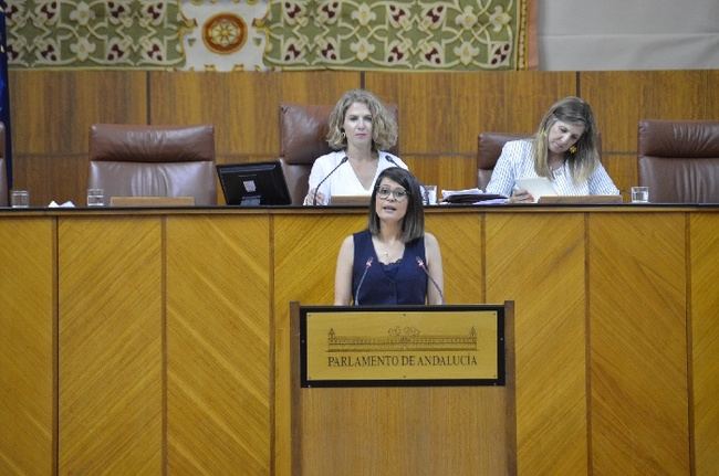 El PP aplaude el I Plan Estratégico para las Frutas y Hortalizas de Invernadero