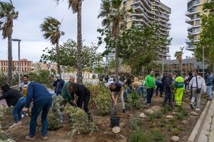 Ayuntamiento y ‘Profemadera’ plantan una veintena de árboles en el Parque de la Estación