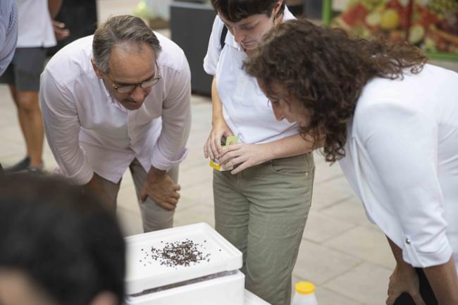 Almería implementa control natural de plagas en parques