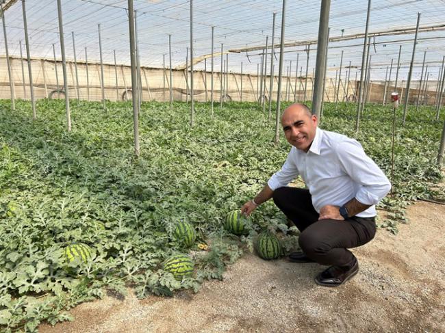 Inspecciones de la campaña 'No cortes en verde' en sandía y melón