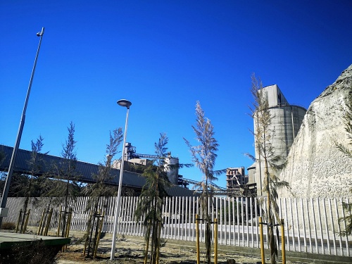 La Autoridad Portuaria levanta una pantalla vegetal en el Puerto de Carboneras