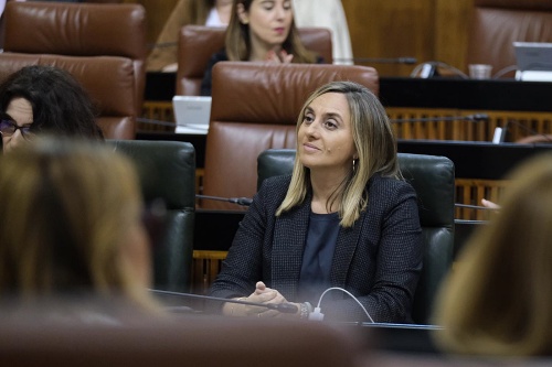 La consejera Carazo denuncia la merma de conexiones ferroviarias a Granada y Almería