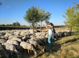 Agricultura aumenta un 28% los cursos de formación del Ifapa