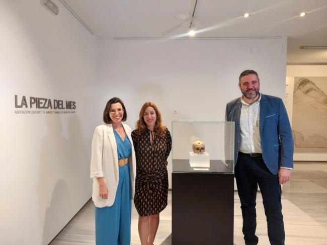 Un cráneo trepanado con 5000 años en el Museo de Almería