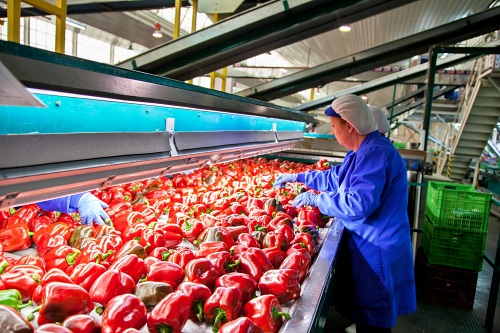 Almería se mantiene como líder andaluza en exportación hortícola