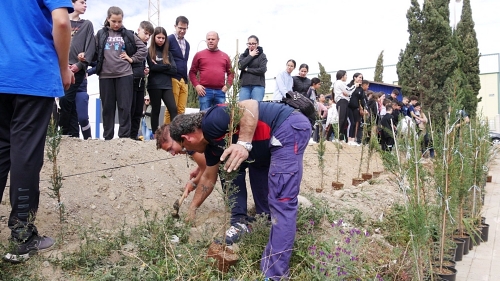 Estudiantes y miembros del club de petanca de Adra plantan cipreses en La Curva