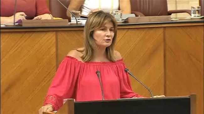 Espinosa defiende ayudas específicas para mujeres y huérfanos víctimas de violencia machista