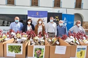 Diputación y ‘Sabores Almería’ apuestan en Berja por la conservación de la uva de Almería