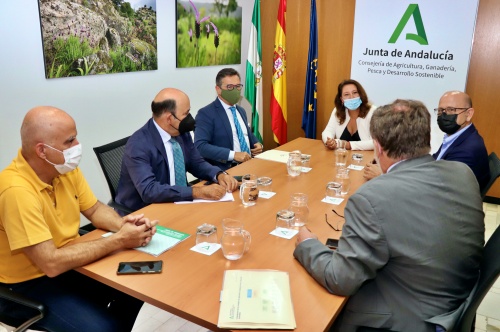 Crespo se reúne con el Colegio de Ingenieros Agrónomos de Andalucía