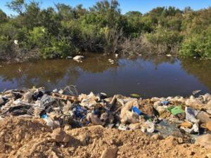 Ecologistas denuncia el estado de los humedales de El Ejido