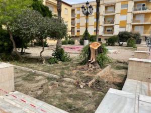 El alcalde de Albox se lanza a la tala de los árboles de las plazas
 