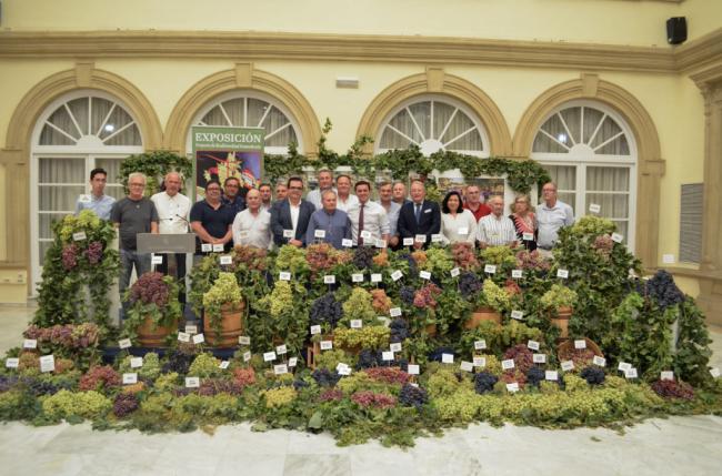 Almería es la provincia con más variedades de uva