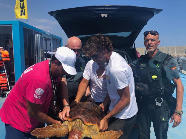 La Guardia Civil auxilia una tortuga boba enredada en plásticos en Garrucha