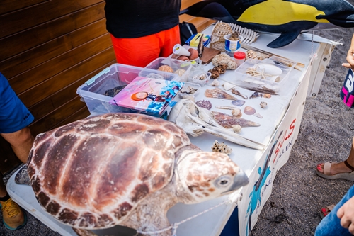 La playa de La Romanilla acoge durante tres días talleres de educación medioambiental dirigidos a los más pequeños