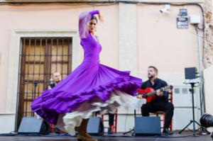 ‘Las tardes del IEA’ abren al mundo ‘El Flamenco de Almería’ en formato telemático