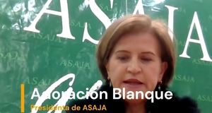 Blanque: La buena vecindad con Marruecos solo llega con España