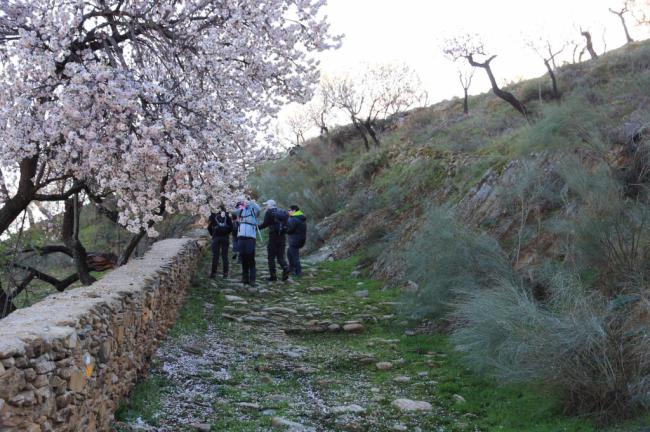 Los Almendros En Flor De Tahal, destino para los vicarios