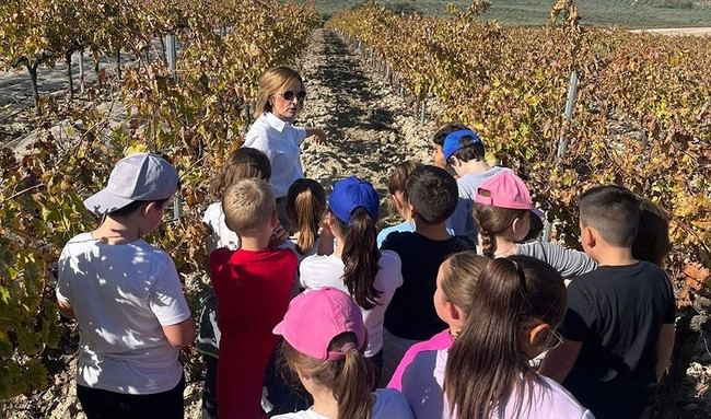 Almería participa en la Semana de la Ciencia con más de 28.000 asistentes en Andalucía