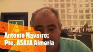 Navarro (ASAJA): "Marrueco lleva 9 años metiendo tomate al mismo precio"