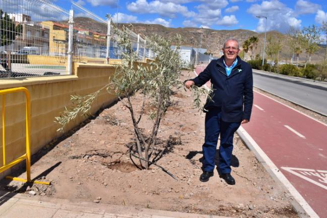 Se plantan 50 árboles en los bulevares de Vícar y La Paz