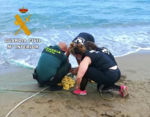 Guardia Civil y Equinac liberan un “Cormorán Moñudo” atrapado en una red en playa Macenas