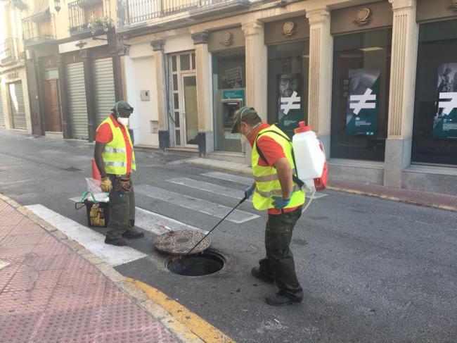 El Ayuntamiento de Berja culmina el plan de desinsectación y desratización del municipio