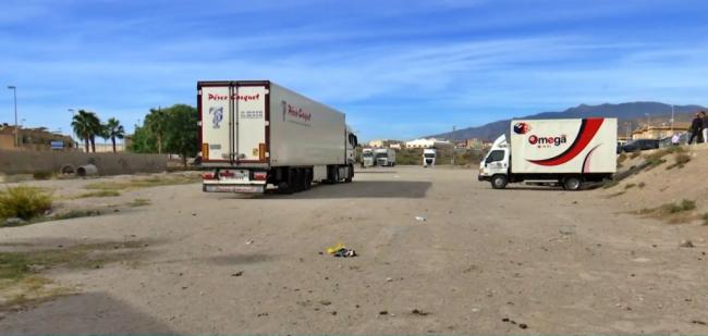 Atropellado y abandonado en Roquetas de Mar